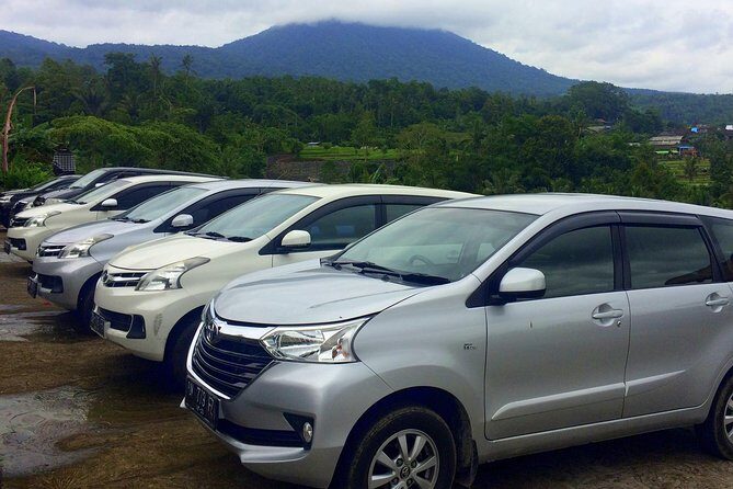 Private Car Charter - Explore Best of Bali - A Ubud Private Car Lets You Set the Tempo