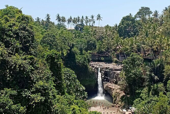 Private Car Charter: Hire Car with English Speaking Driver - Building your own 10-hour Bali day without rushing