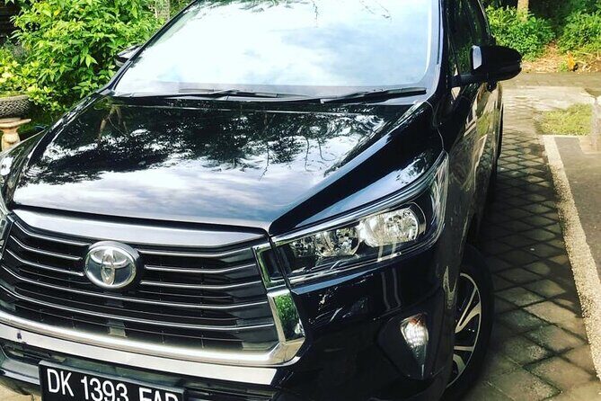Private Car Charter in Bali with an English-speaking Driver - Costs to plan for: tickets, meals, and the GST add-on