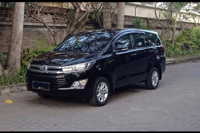 Private Car Charter in Bali with an English-speaking Driver - Getting around Bali: traffic, timing, and why a driver matters