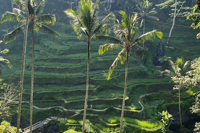 Private Car Charter Tour With Driver In Bali - Private A/C Car Charter From Ubud: What You’re Actually Buying