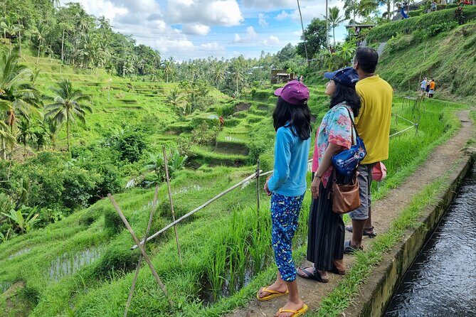 Private Customizable Bali Tour Visit with Transfer Included - Private Bali day from Ubud: how customization actually works