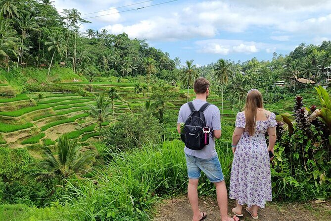 Private Customizable Bali Tour Visit with Transfer Included - Driver-guide quality: communication, cleanliness, and safe pacing