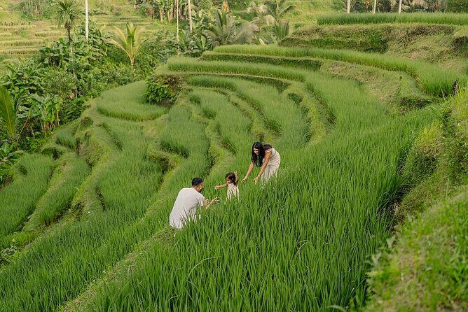 Private Customize Ubud Day Tour With Experienced Driver - Key Points You’ll Care About