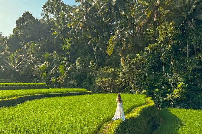 Private Customize Ubud Day Tour With Experienced Driver - How the Private Car and English-Speaking Driver Makes Ubud Easier