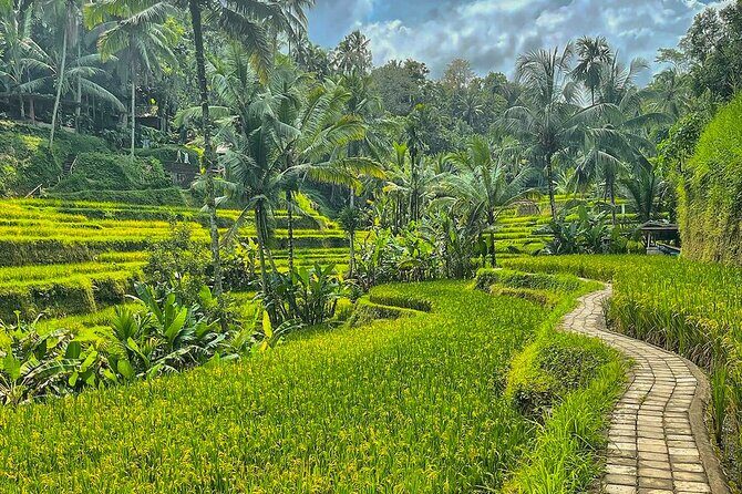 Private Customize Ubud Day Tour With Experienced Driver - Sacred Monkey Forest Sanctuary: Jungle Temples and Long-Tailed Macaques