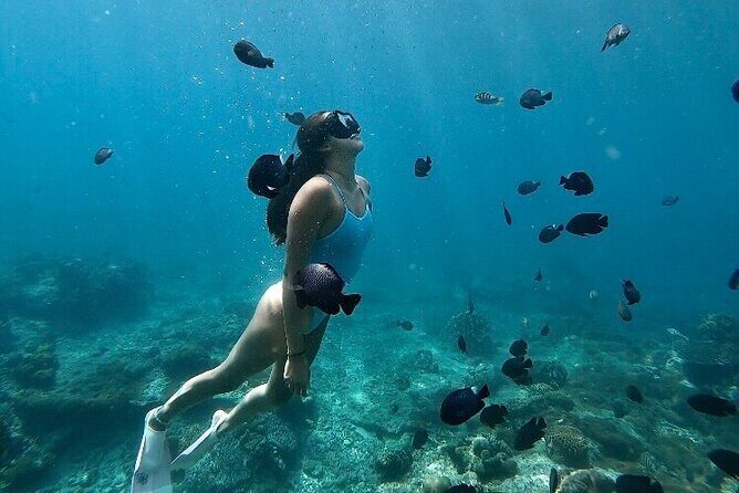 Private Customized Tour with Local Guide - A private day tour from Kuta that actually adapts