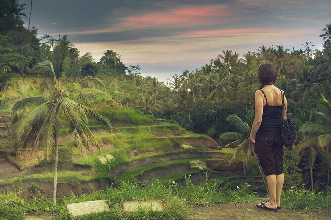 Private Customized Trip to Ubud - Private door-to-door pickup from Seminyak and South Bali
