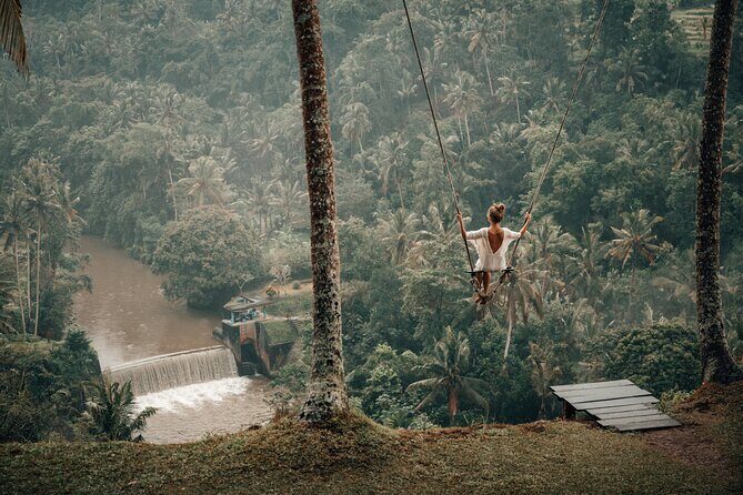 Private Customized Trip to Ubud - The value of your driver/guide (Ketut is the kind you want)