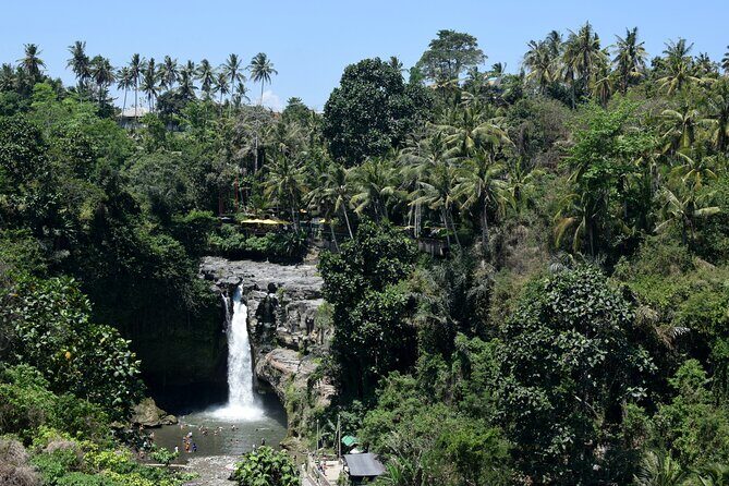 Private Customized Trip to Ubud - Should you book this private customized Ubud trip?