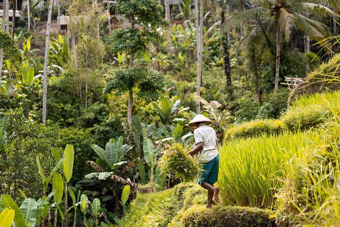 Private Customized Trip to Ubud - How the custom format lets you shape your Ubud day