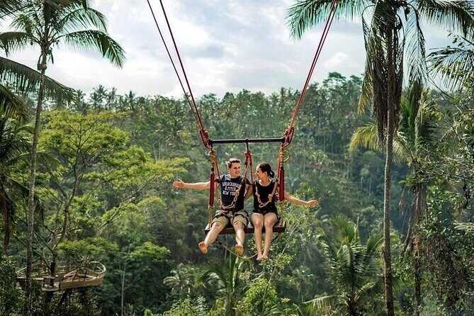 Private Day Tour In Ubud With Jungle Swing All Inclusive - Key highlights at a glance