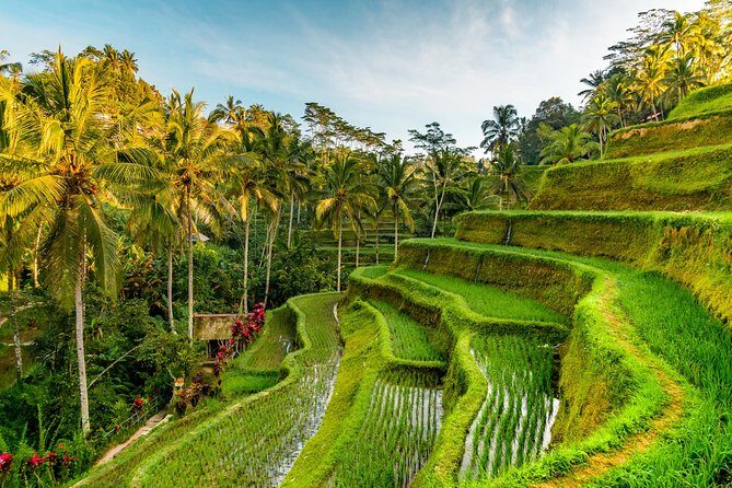 Private Day Tour: The Highlight of Ubud - Full tour vs custom trip: how to pick the best format
