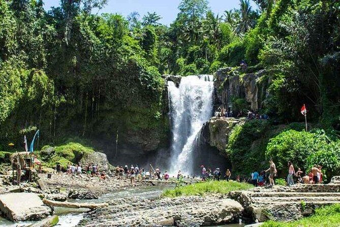 Private Day Tour: The Highlight of Ubud - Tirta Empul: holy spring water and what purification looks like