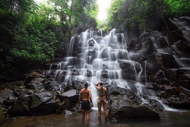 Private Day Tour To Waterfalls And Ubud Sightseeing - Key things that make this Ubud day tour worth it