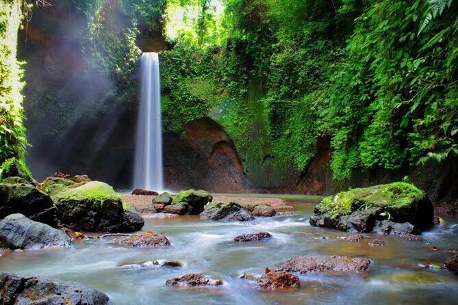 Private Day Tour To Waterfalls And Ubud Sightseeing - Tegalalang rice terraces: views you can actually enjoy at your pace