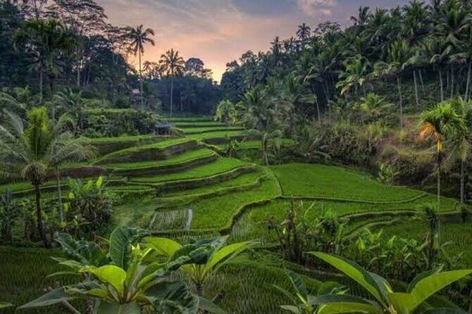Private Day Tour To Waterfalls And Ubud Sightseeing - Price and value: what $42 per person buys (and what it doesn’t)