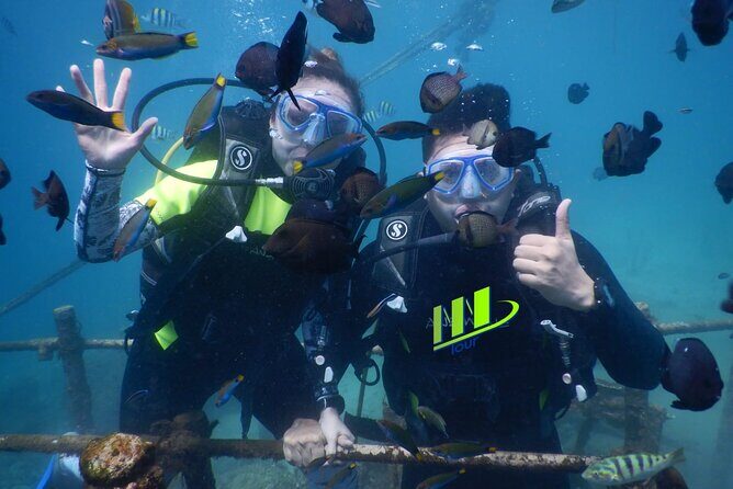 Private Diving Experience in Nusa Dua with Hotel Pick Up - Key things that make this experience work in Nusa Dua
