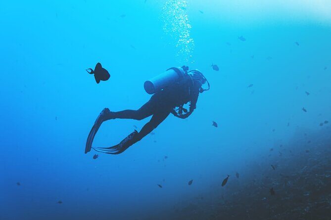 Private Diving Experience in Nusa Dua with Hotel Pick Up - Stop: Tanjung Benoa and the rhythm of the day