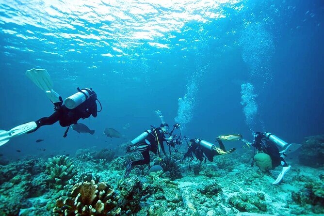 Private Diving Experience in Nusa Dua with Hotel Pick Up - What happens before you ever get wet