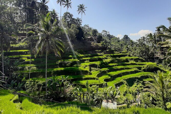 Private Driver in Bali with English Speaking - How the Route Flows: Waterfall to Temple to Highlands