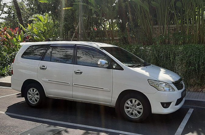 Private Driver in Bali with English Speaking - Stop 3: Satria Agrowisata Coffee Plantation and Tasting Without Pressure