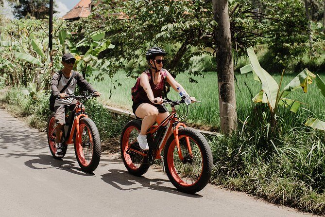 Private Fat Tire E-Bike Tour in Ubud - Stop by stop: what to expect from Tegalalang Rice Terrace