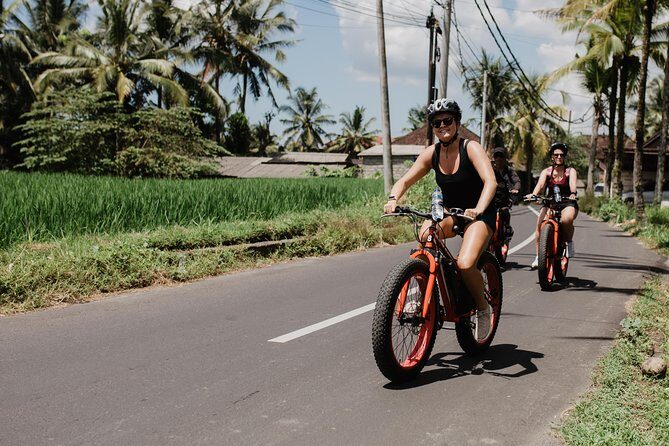 Private Fat Tire E-Bike Tour in Ubud - Building your own route: Tegalalang vs Campuhan Ridge vs your own idea