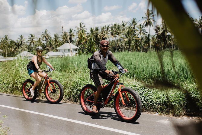 Private Fat Tire E-Bike Tour in Ubud - Transfers and meeting point: reducing the hassle so you can start riding