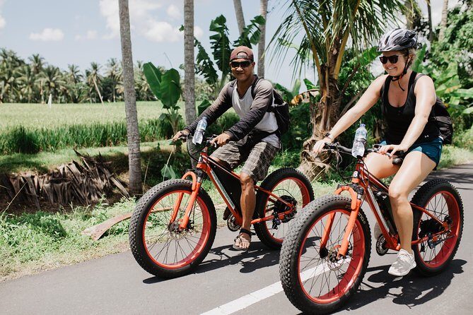 Private Fat Tire E-Bike Tour in Ubud - Timing and duration: how 3–4 hours feels on the ground