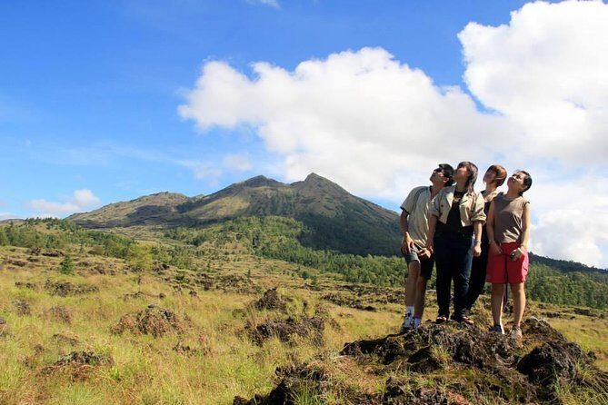 Private Full-Day Bali Sightseeing Tour with Pickup and Lunch - Bali Pulina Coffee Plantation: How Specialty Coffee Gets Made