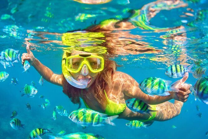 Private Full-Day Lovina Dolphin Watching and Snorkeling Boat Tour - The move to Ulun Danu Bratan Temple: a calmer, cultural reset