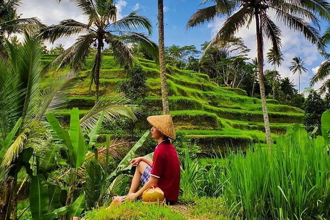 Private Full - Day Nusa Penida Island Tour - What private guiding changes for your day