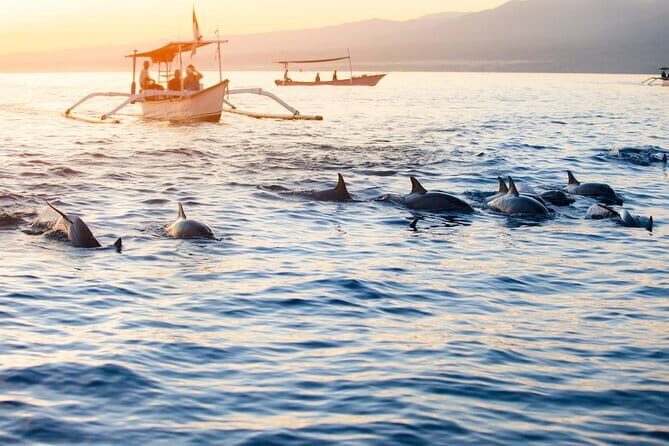 Private Full - Day Nusa Penida Island Tour - Transport realities: fast boat day trips come with sea and comfort factors