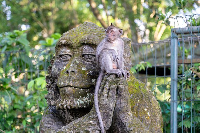Private Full-Day Tour: Balinese Temples and Rice Terraces - Gunung Kawi: rock-cut shrines, river views, and the stairs check