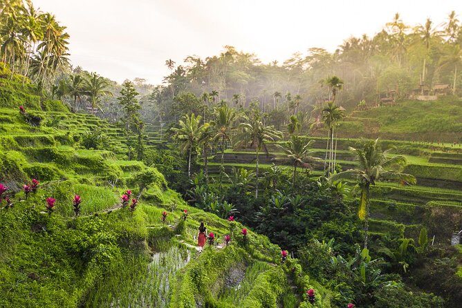 Private Full-Day Tour: Balinese Temples and Rice Terraces - D Alas Warung lunch: when the break has a view