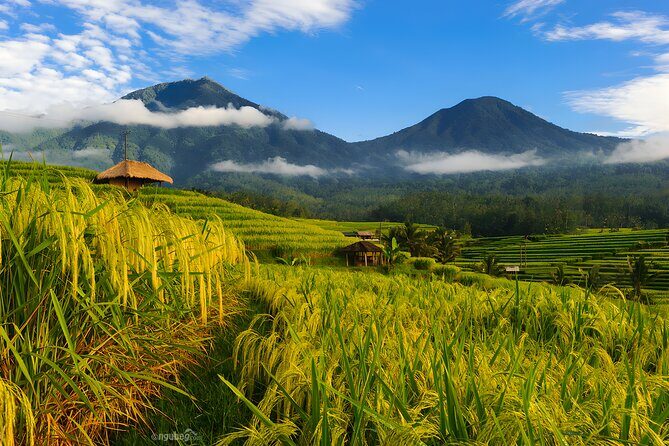 Private Full-Day Tour: Discover The Best of Bali Destination - Handara Iconic Gate Photos Without the Rush