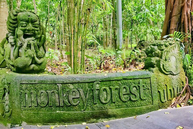 Private Full-Day Tour in Bali & FREE WIFI - Why This Private Bali Day Works When Traffic Takes Over