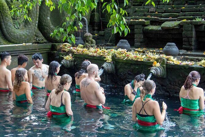 Private Full Day Tour In Ubud Bali - Tegenungan Waterfall: green views, plus a walk option