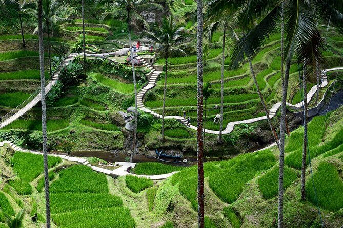 Private Full Day Tour to Ubud Highlights with Giant Swing - Tegenungan Waterfall: the trail down, the photos up close