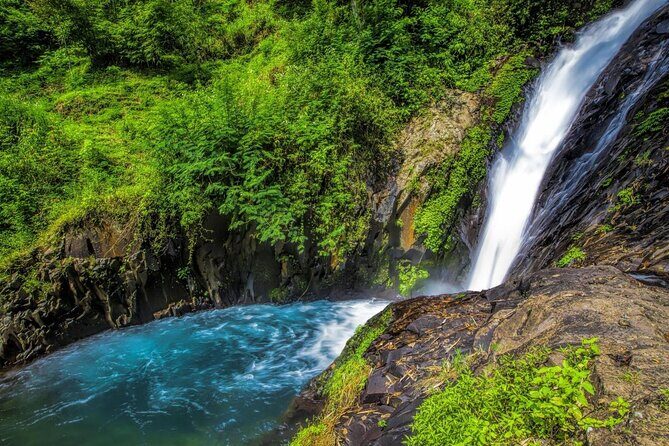 Private Full-Day West Bali Tour with Waterfall Visit - Key highlights worth marking on your map
