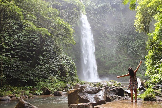 Private Full-Day West Bali Tour with Waterfall Visit - Your guide makes the difference: punctual, flexible, and detail-oriented