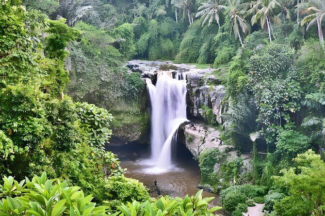 Private Half-Day Tour : Ubud Waterfall Tour Packages - Key Points That Make This Ubud Tour a Solid Pick