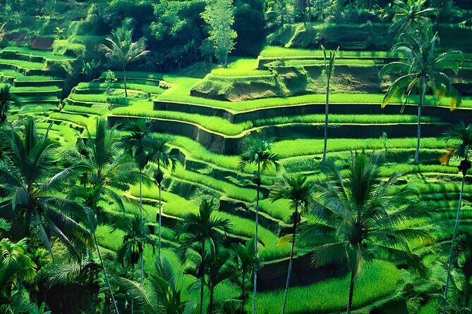 Private Half-Day Tour : Ubud Waterfall Tour Packages - Batuan Temple and the Temples You Pass By