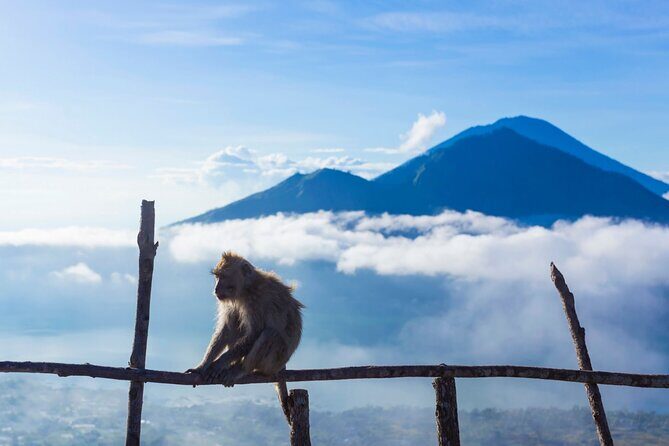 Private Mount Batur Sunrise Trekking Tour - The Car Pickup Reality: Easy Start, Smart Schedule