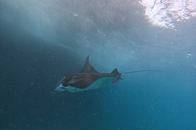 PRIVATE Nusa Penida on Boat Snorkeling & Island Tour (INCLUSIVE) - Lunch Break: Simple, Included, and Timed for the Land Tour