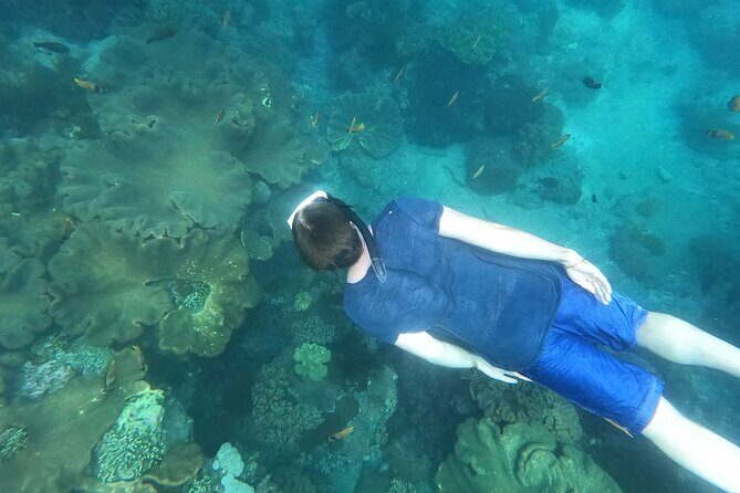 Private Nusa Penida Snorkeling Tour - Price and logistics: when $157.84 feels fair