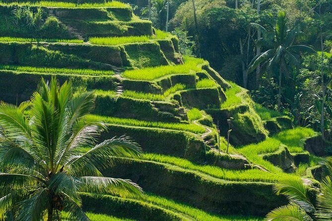Private Shore Excursion: Customized Best of Bali Tour - The 9:00 AM start from Port of Benoa (and what it means for your choices)