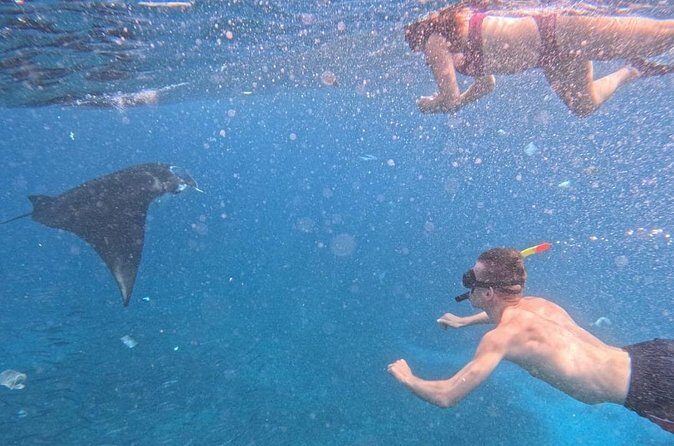 Private Snorkeling from Nusa Penida - Wall Point and Crystal Bay: calm water time plus underwater variety
