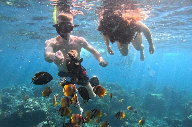 Private Snorkeling from Nusa Penida - Price reality check: what $97.30 covers